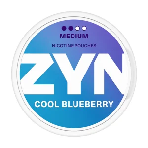 ZYN Cool Blueberry (6mg)